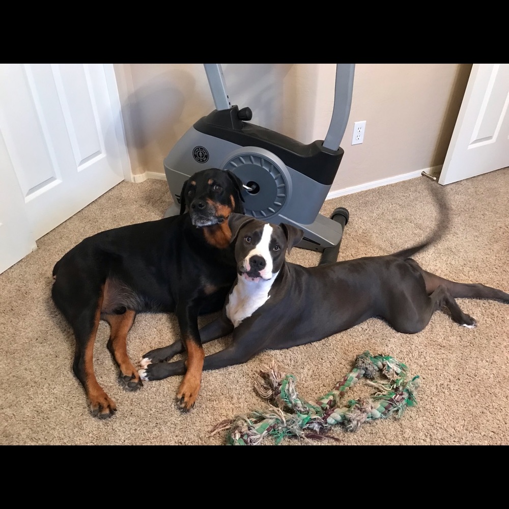 Meet your Posher, Erica